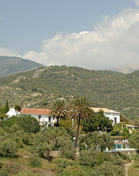 Finca Image 1