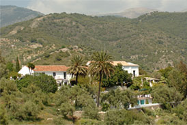 Finca Image 1